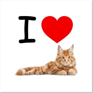 I HEART ORANGE MAINE COON CAT Posters and Art